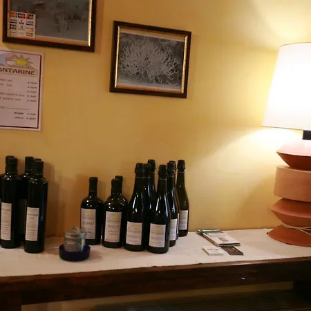 Contarine Cinto Euganeo