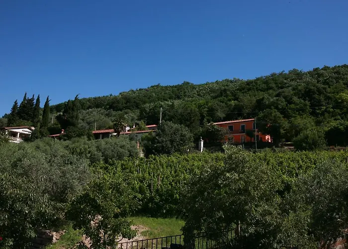 Bed and breakfast Contarine 3*