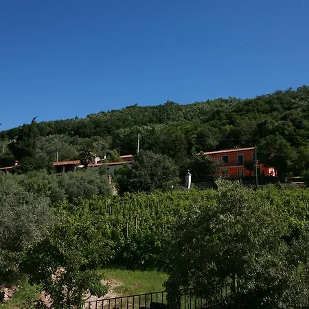 Bed & Breakfast Contarine 3*